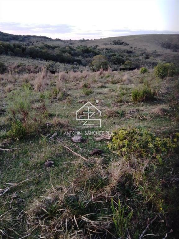 Campo Cerro Aspero Rocha