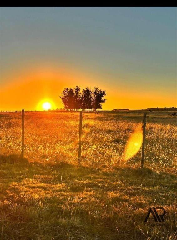Chacra en venta de 21.5ha ubicado en San Carlos