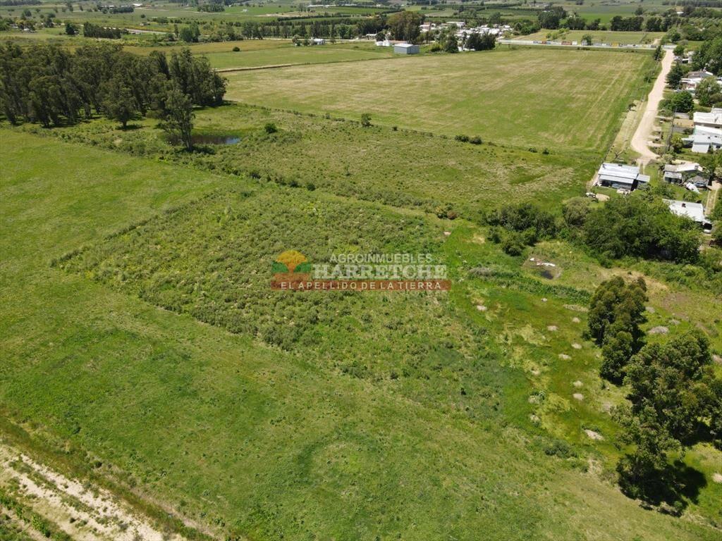 Terreno de 8000 m2 en Progreso, ideal
