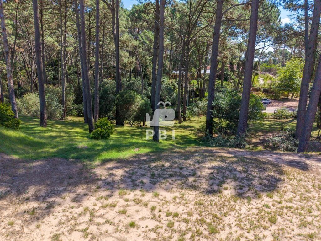 Terreno en venta en Club Del Lago, Punta Ballena