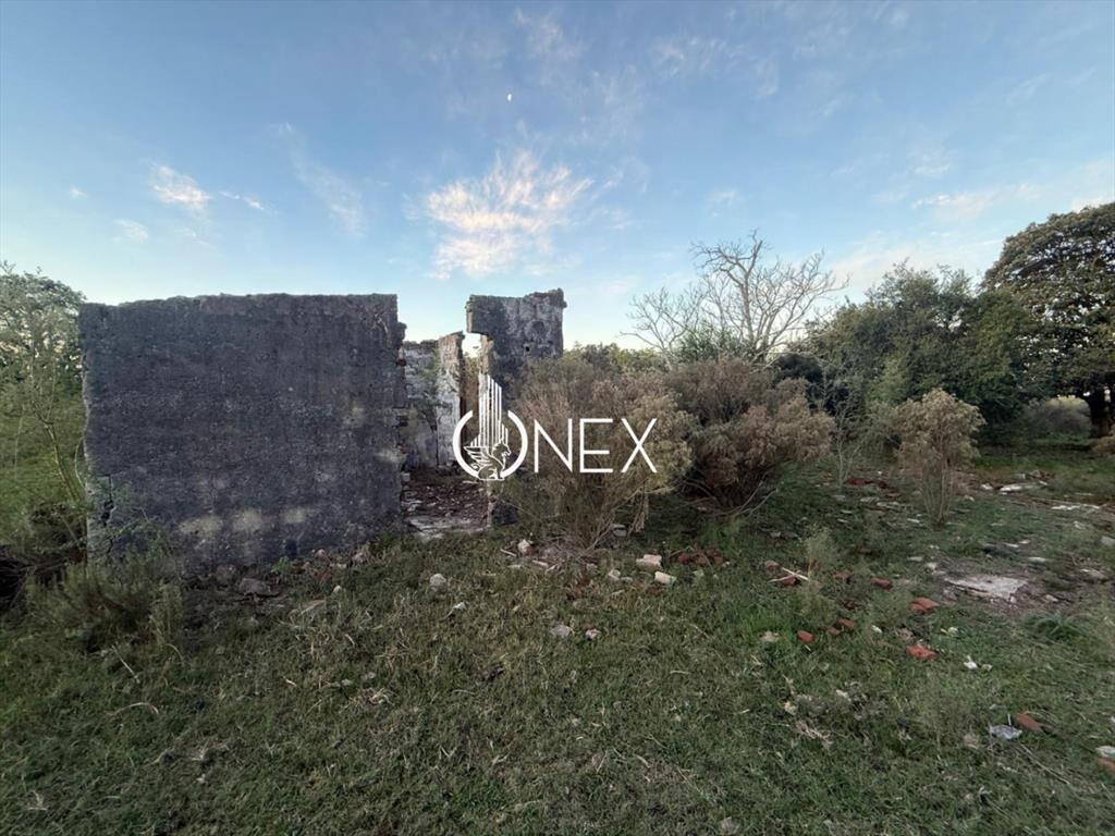Se vende chacra en Sarandí de la china en