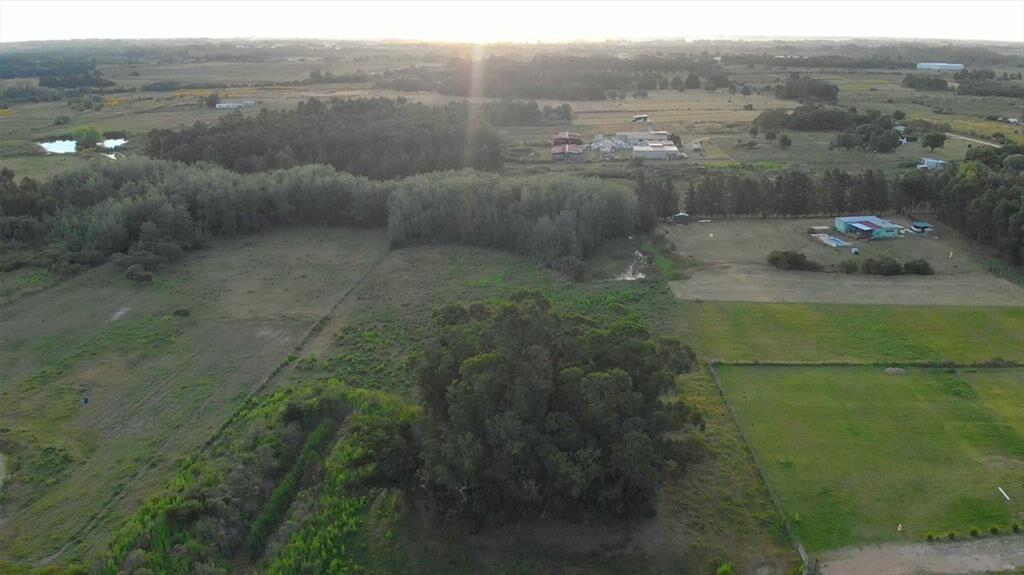 Venta de campo 3Ha. en Empalme Olmos