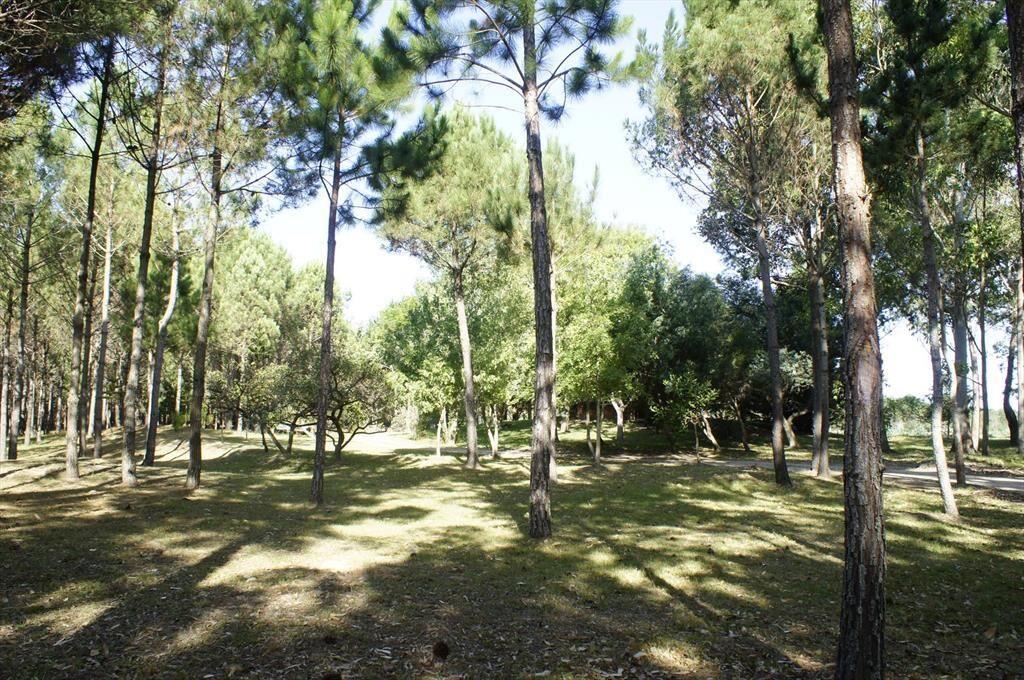 Venta Chacra Marítima Rocha 22ha Ruta 10, Cerca del Mar, Ac