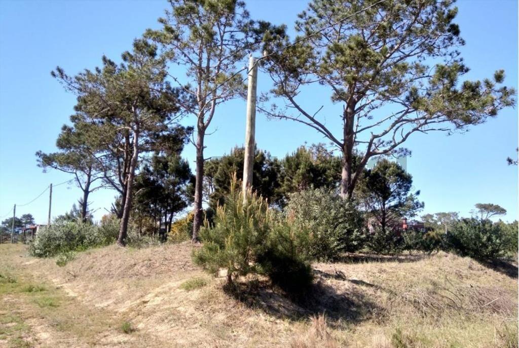 Espectacular terreno en Punta del Diablo, La Viuda 1200 m2