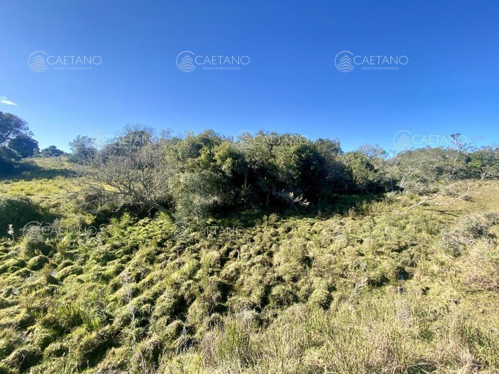 Venta chacra 5 hectáreas. Camino del Olivo,