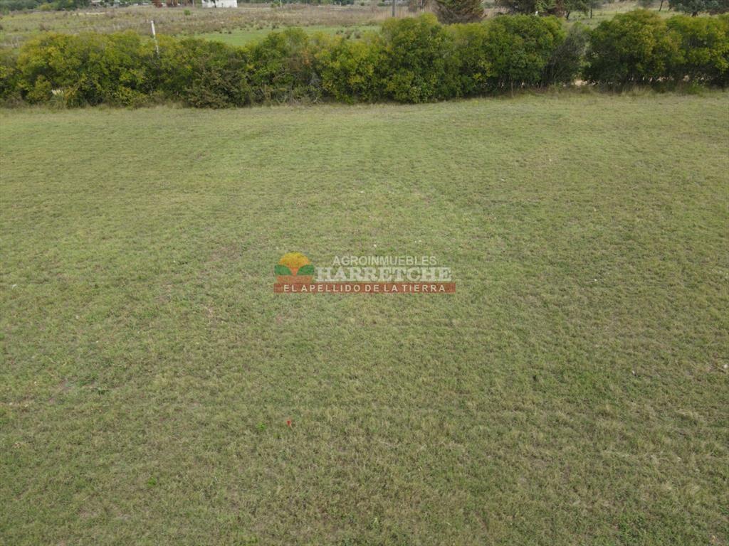 Terreno en Progreso, 360 m2 en Jardín de los (4)