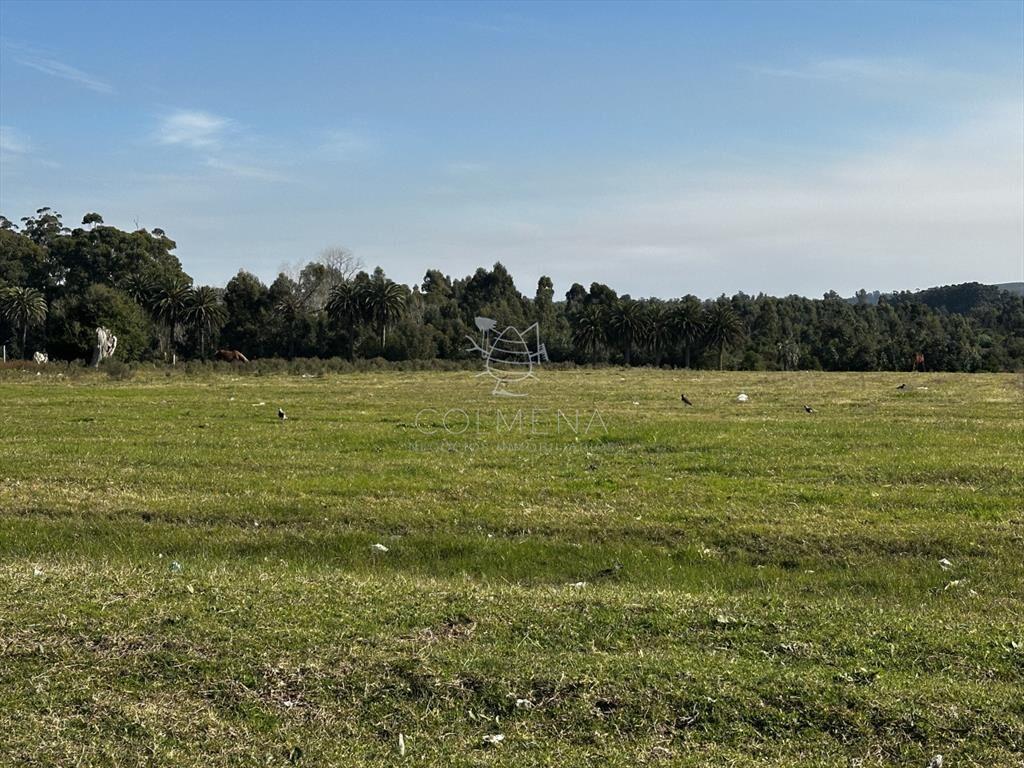 Venta lote para fraccionamiento, San Carlos
