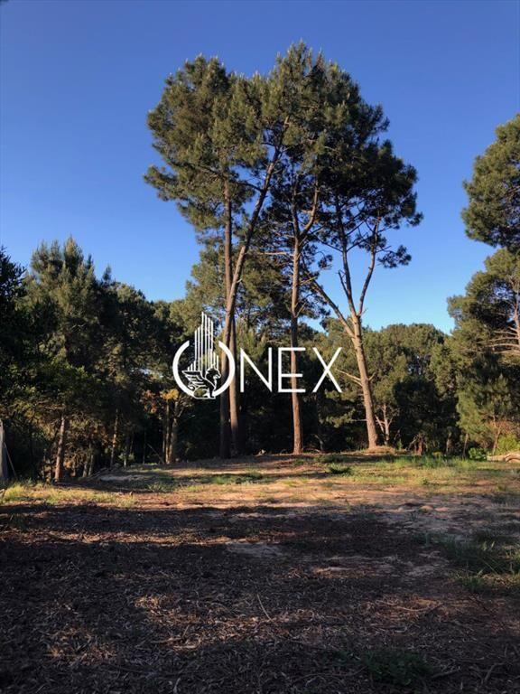Terreno en venta en Club del Lago Maldonado