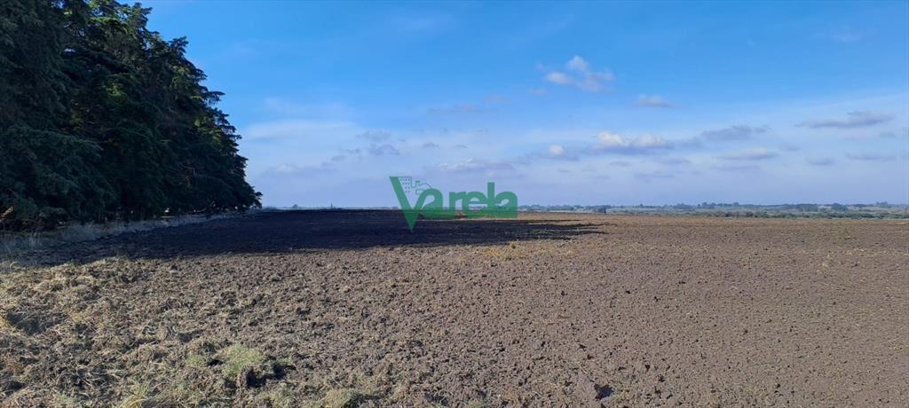 Campo 108 has. próximo a San Jacinto