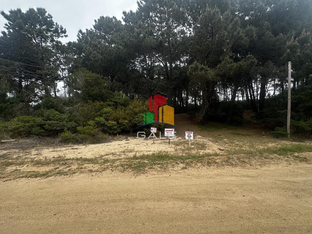 Terreno en Punta Ballena, Chihuahua