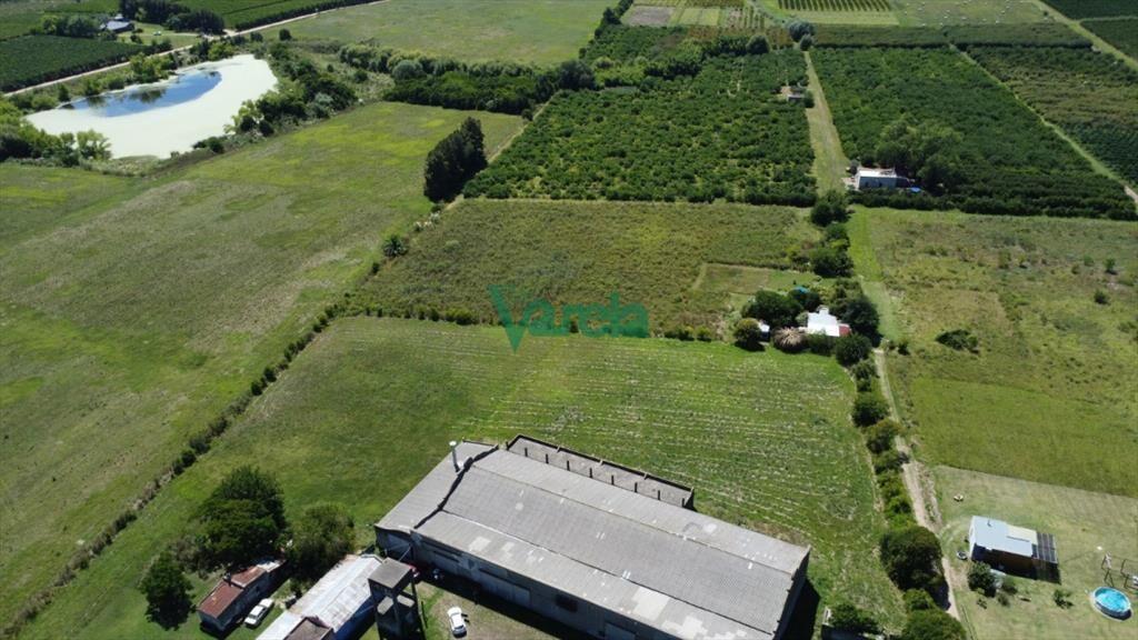 Venta Gran Terreno Con Galpon Sobre Mendoza Ideal