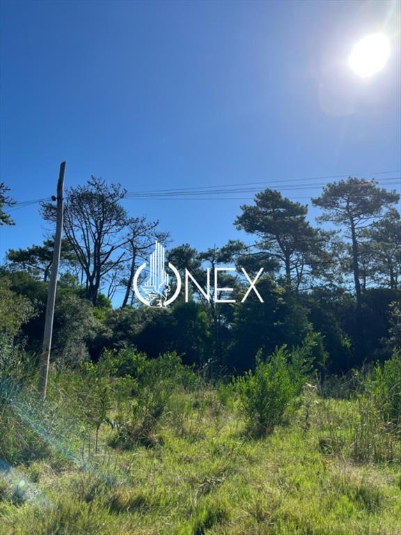 SE VENDE TERRENO EN OCEAN PARK