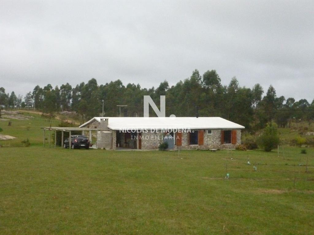 HERMOSA CHACRA CON PRODUCCION DE OLIVOS
