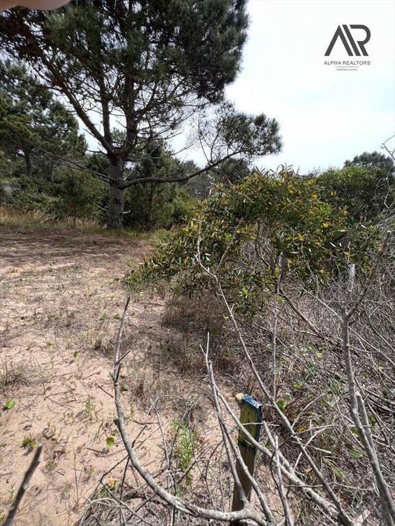 Terreno en venta de 510m2 ubicado en Punta del Diablo