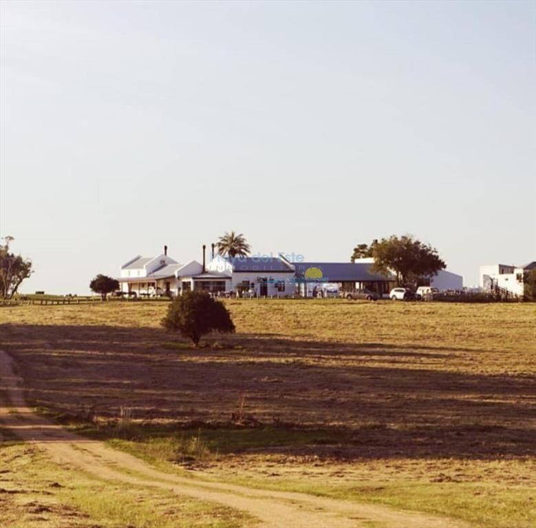 Campo en San Carlos,