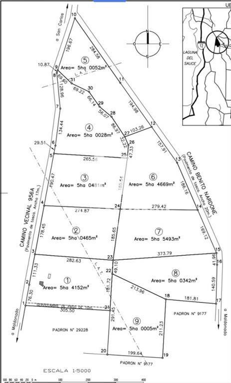 Chacra de 5has en Punta Ballena, en venta
