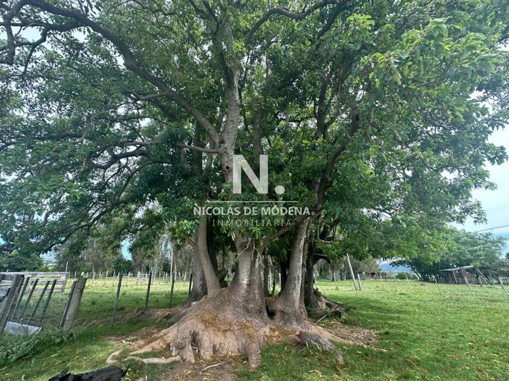 Chacra en Venta de 53 hectareas en Pan de Azucar