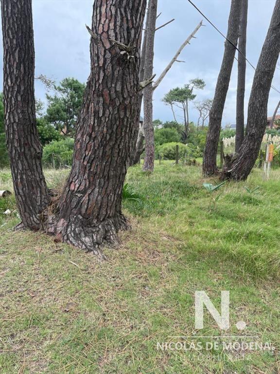 TERRENO EN MONTOYA