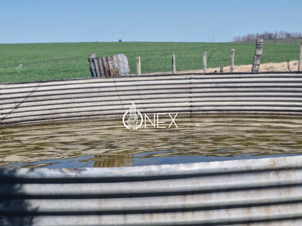 Campo en venta en Arroyo Negro 120 hectáreas