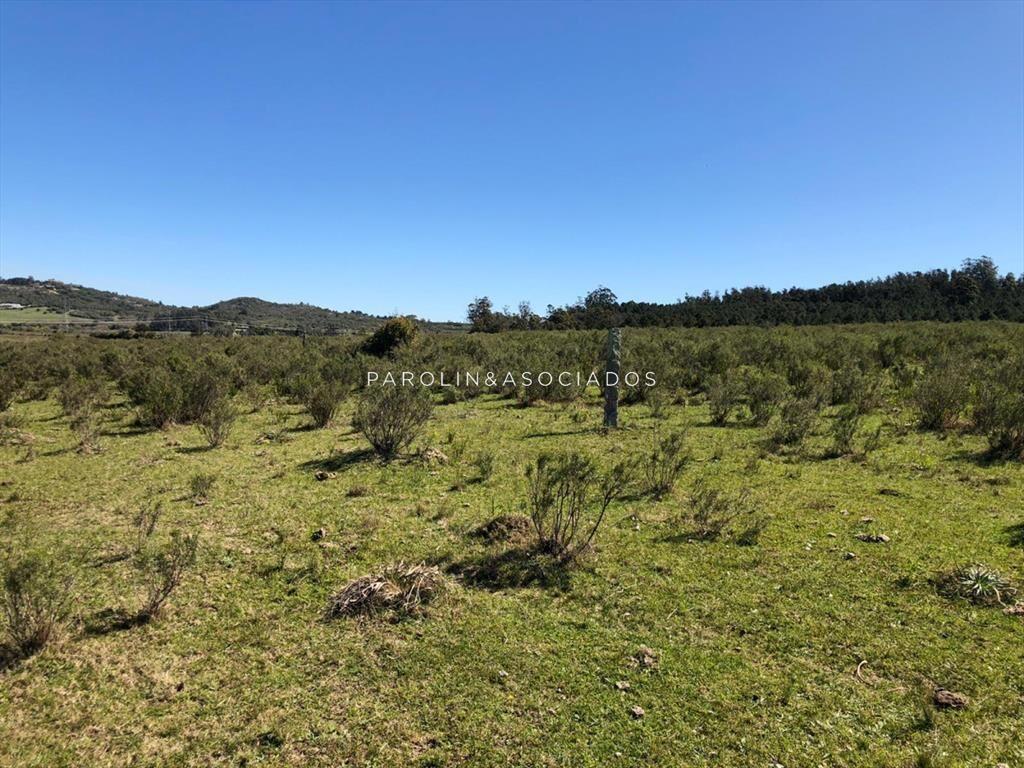 Campo en venta excelente lugar