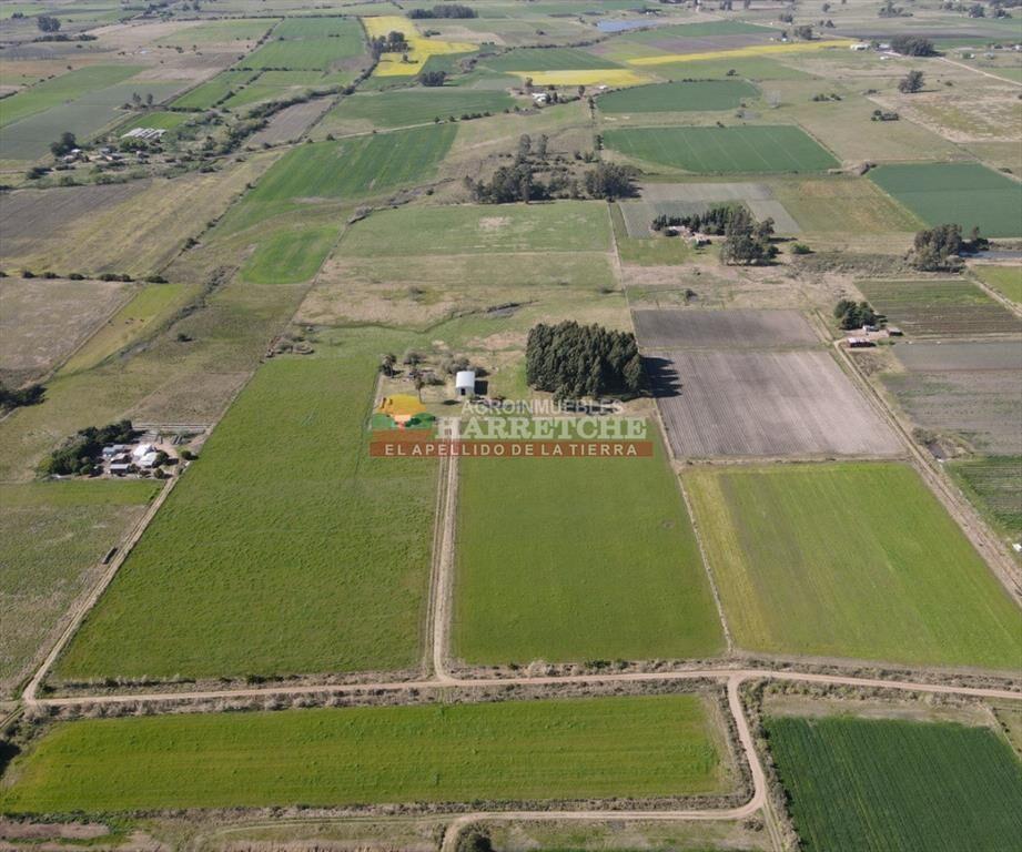Campo en venta 18 has Canelones, con todas las