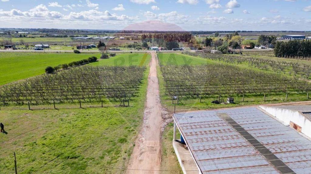 VENTA NAVE LOGÍSTICA SOBRE RUTA 5 CANELONES