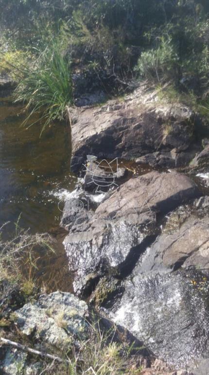 Campo 5 has con 333 m2 en paraje La Coronilla