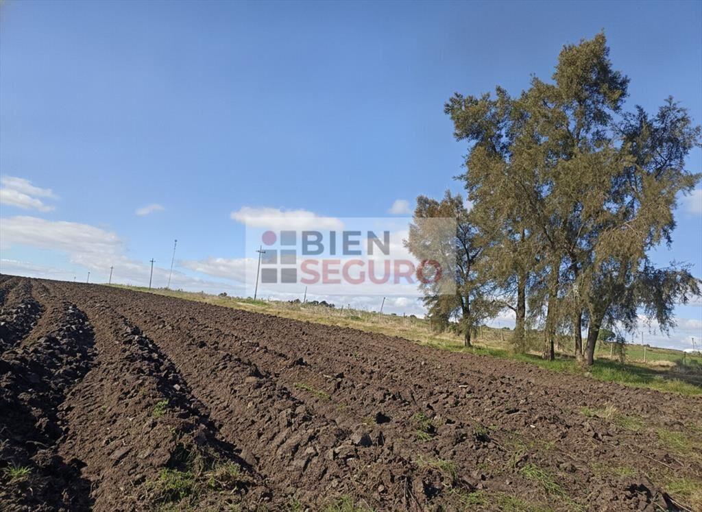 Chacra de casi 7 hás. en venta en Canelones, Próximo a Ruta