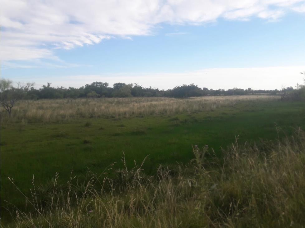 AL1086/P venta campo 53 hectareas en Estacion Solis Minas La