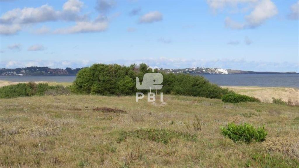 Terreno en venta Chihuahua - Ref : PBI141