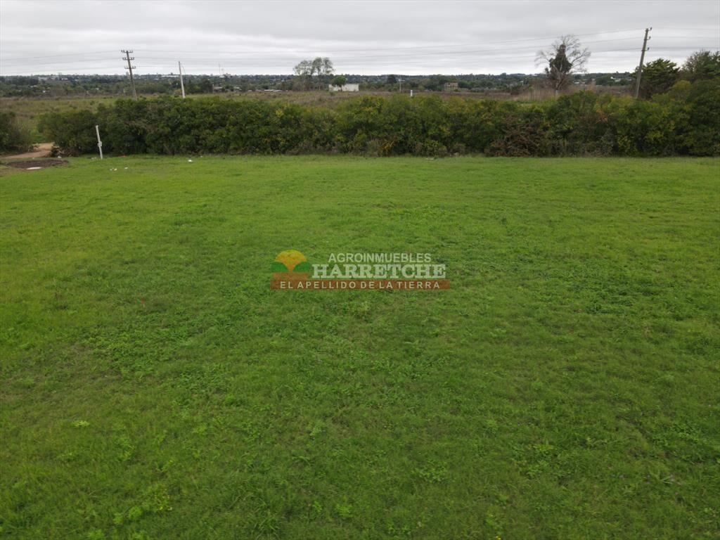 Terreno en Progreso, 360 m2 en Jardín de los Ingleses (7)