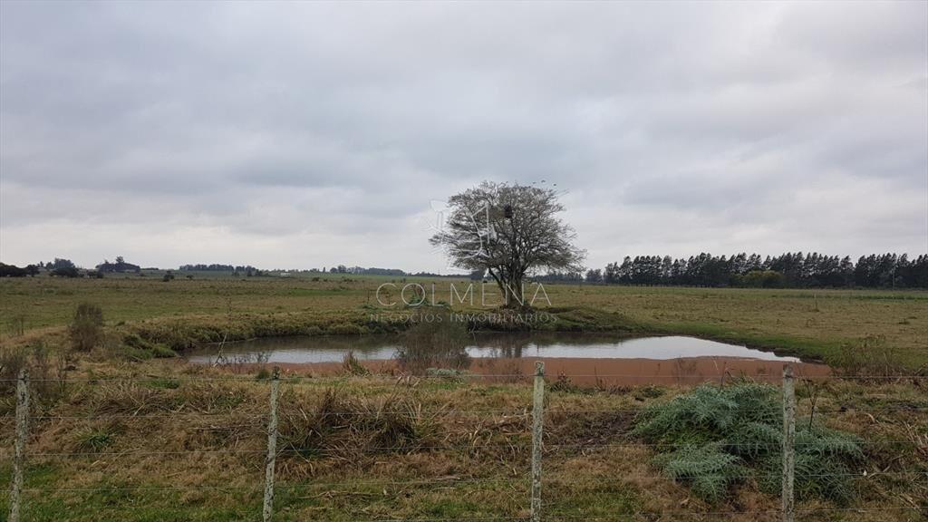 Venta chacra en la pataia