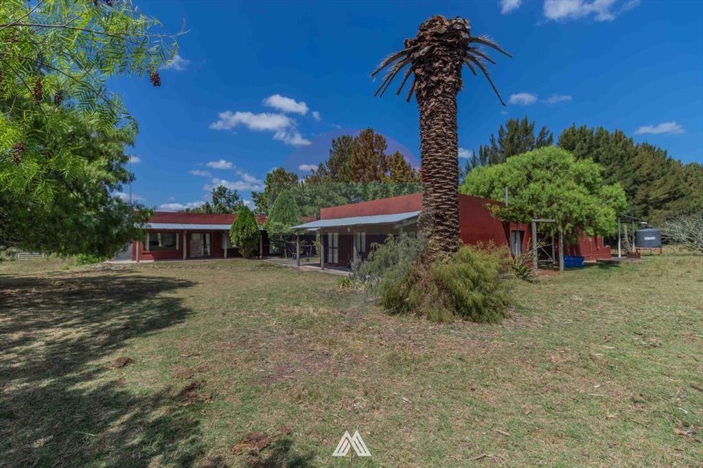 Venta CAMPO 29ha 2 CASAS en Est. Pedrera Ruta 88