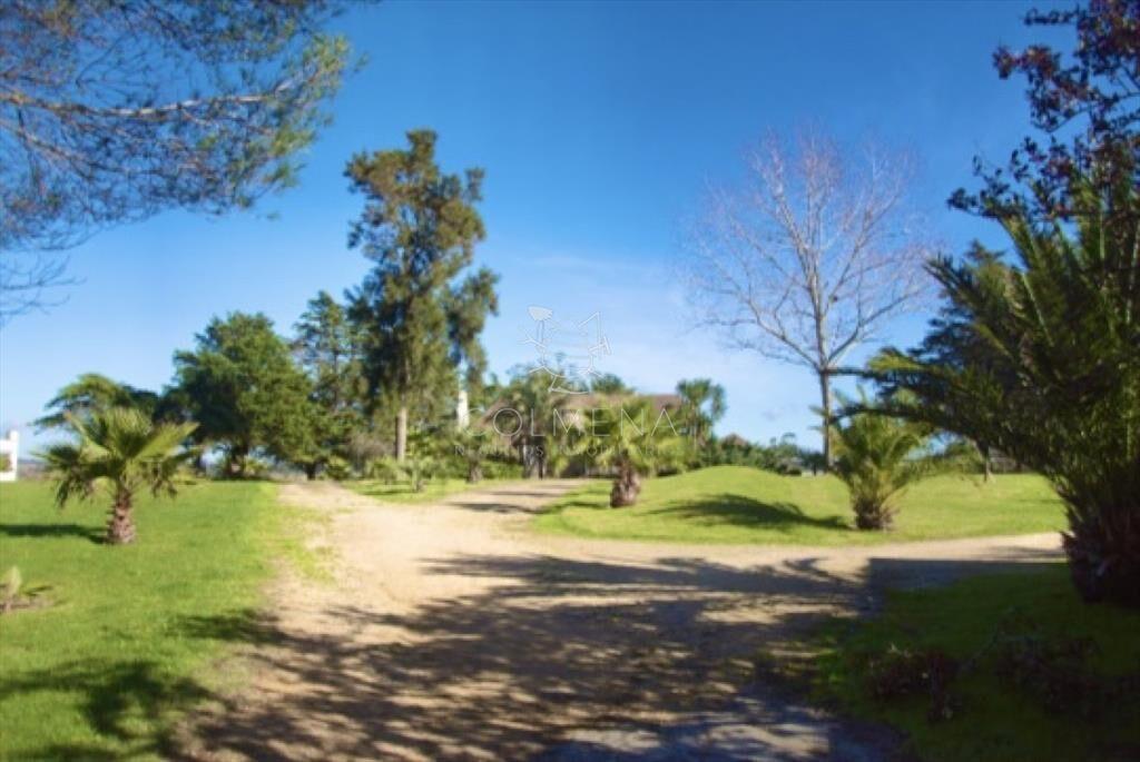 Chacra importante en R. 39 con 700 m2.