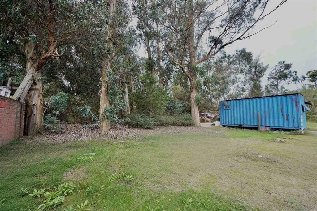 Venta Terreno amplio en Neptunia sobre ruta ideal
