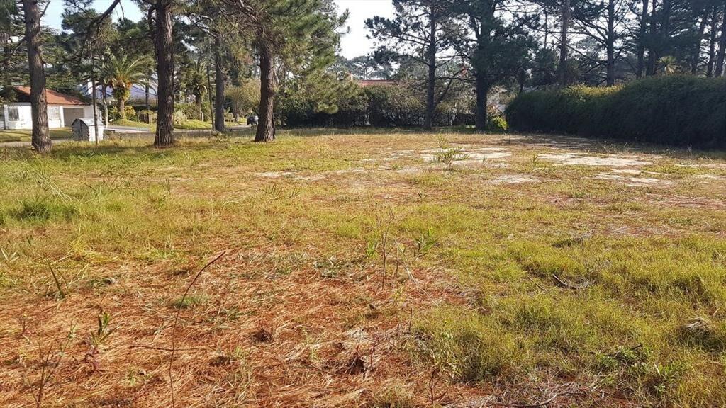 Terreno en Cantegril