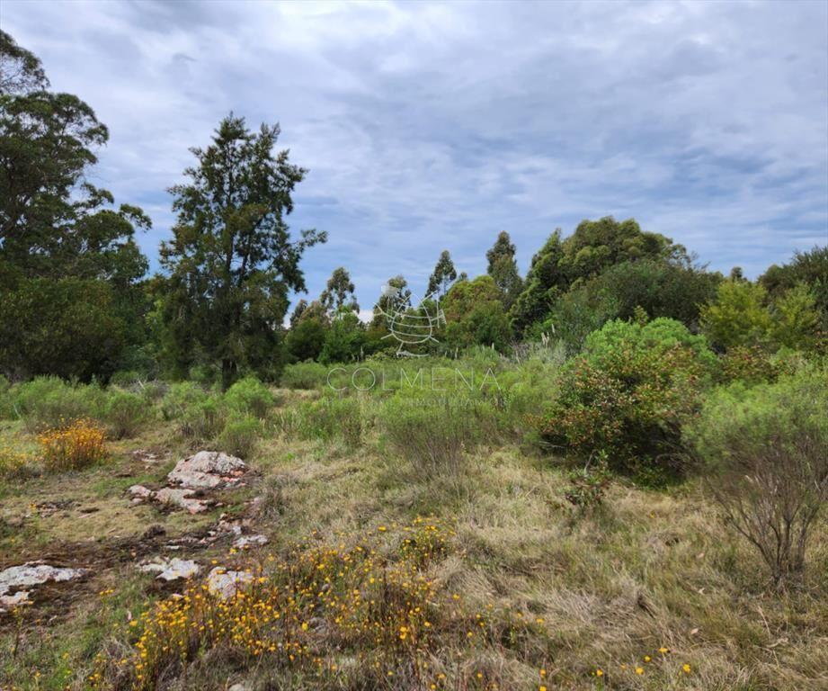 Venta chacra zona La Pataia, Punta Ballena