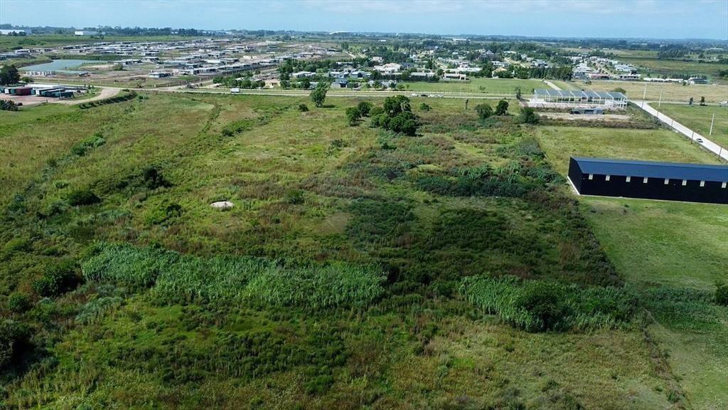 VENTA LOTE TERRENO 4HA. CAMINO DE LOS AROMOS