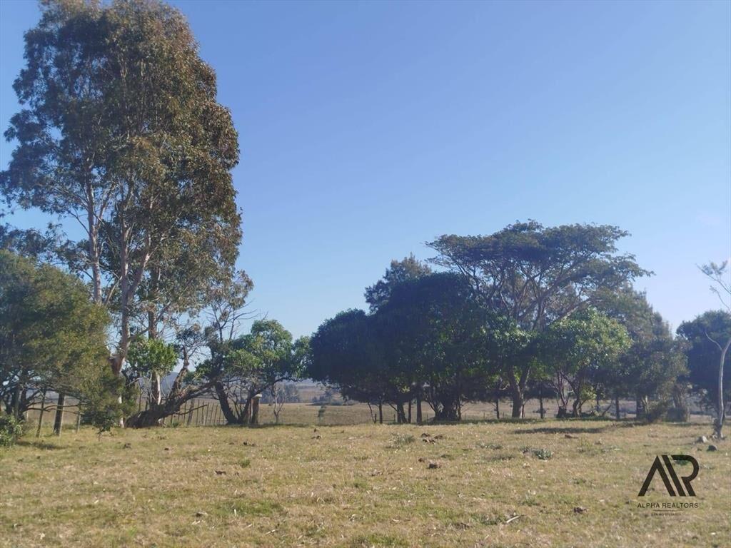 Chacra de 28 hectáreas, con casa y lindera al Arroyo San...