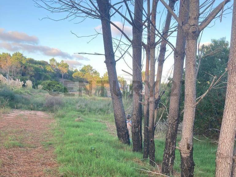 VENTA 4 TERRENOS LA ESMERALDA