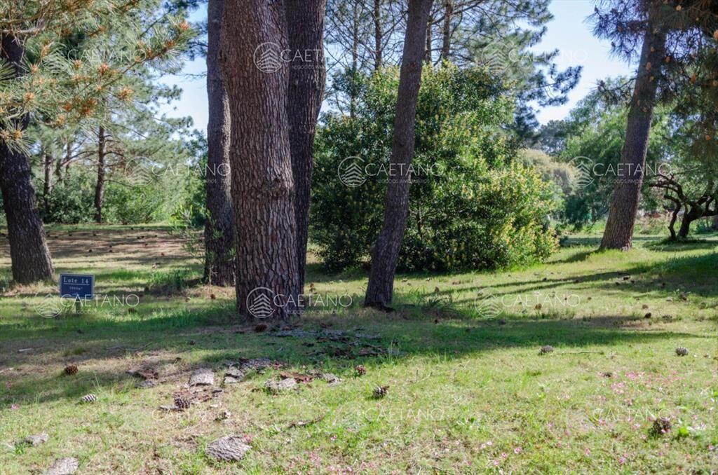 Venta lote en Veramansa, Playa Mansa