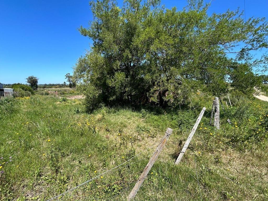 VENTA DE TERRENO SAN CARLOS MALDONADO