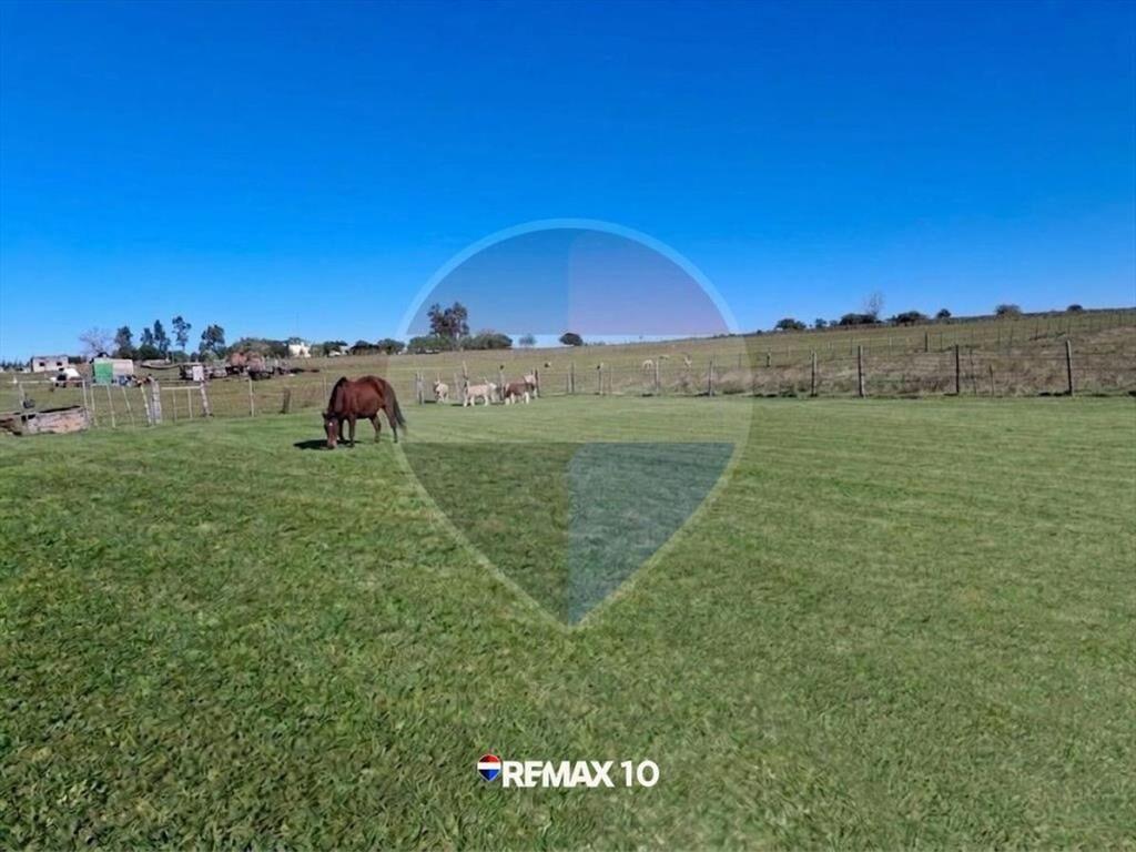 Oportunidad Chacra de 2 Hectáreas en Venta