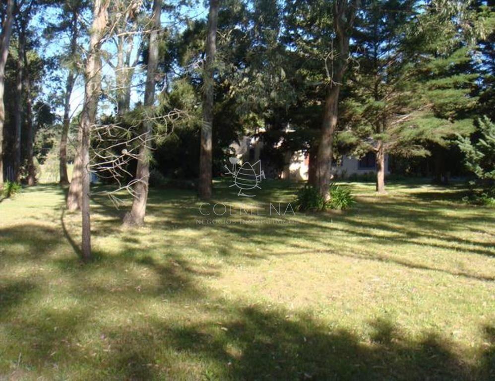 Camino Lussich, Punta Ballena