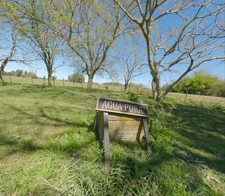 VENTA CAMPO 8ha establecimiento POZO AGUA, MINAS