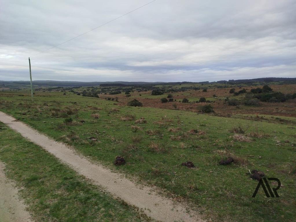 Gran Oportunidad 116 Ha En Garzón/maldondado, A 8 Km Del...