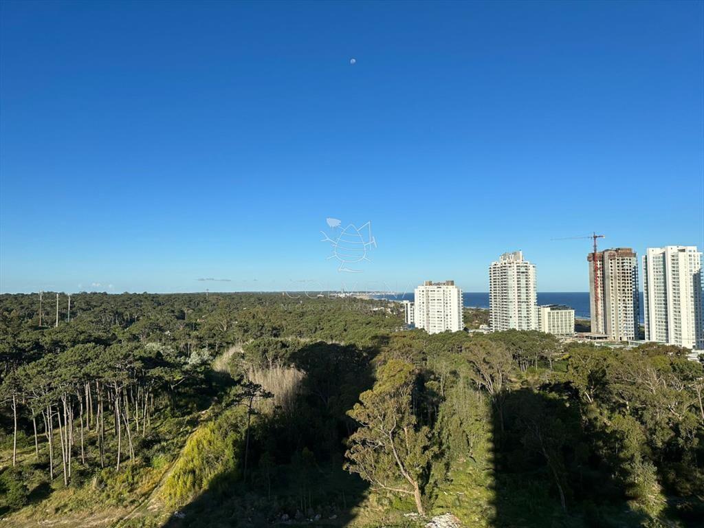Torre One 2