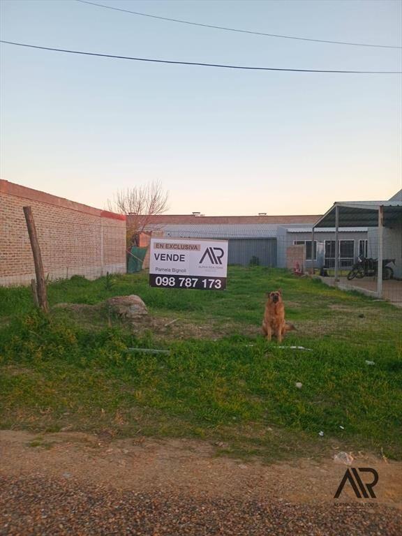 Terreno en venta de 300m2 ubicado en Salto