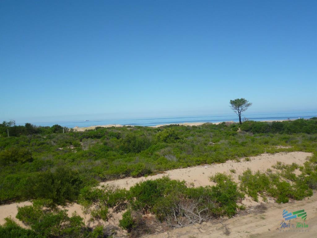 Terreno en venta en Chihuahua, Punta Ballena.