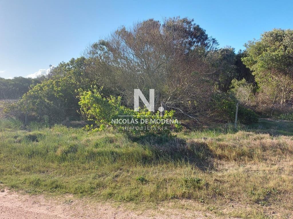 Terreno en venta, La Juanita, José Ignacio